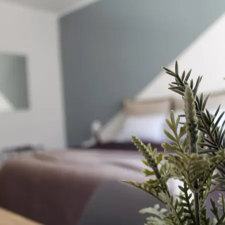 Stanze Di Sofia Μπάρι