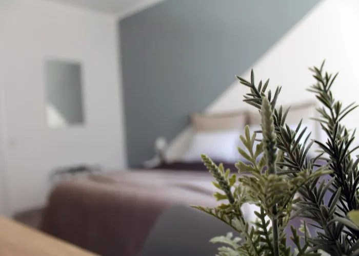 Stanze Di Sofia Bari